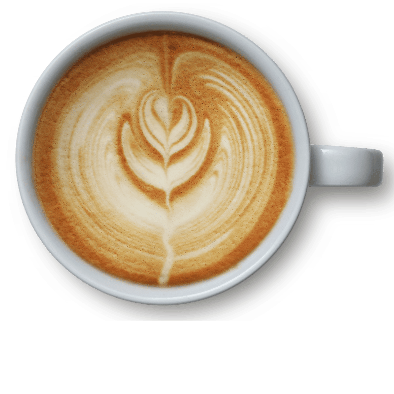 grab a coffee divi web design projects
