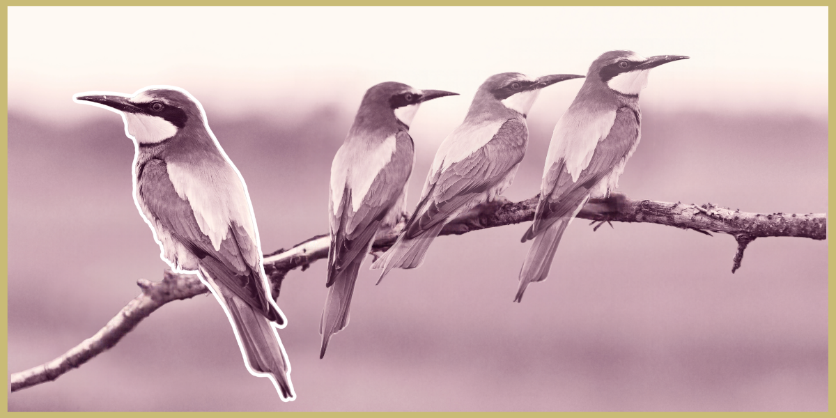 luxe website design divi method superdivine disconnected your website how do you feel