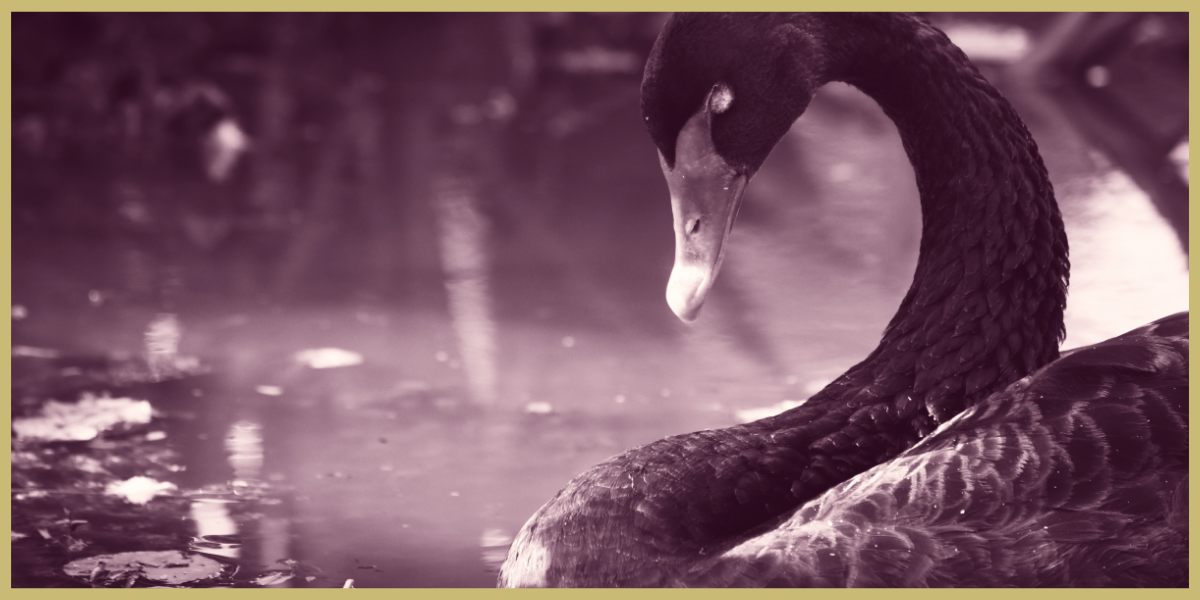luxe website design divi method superdivine apologetic your website how do you feel