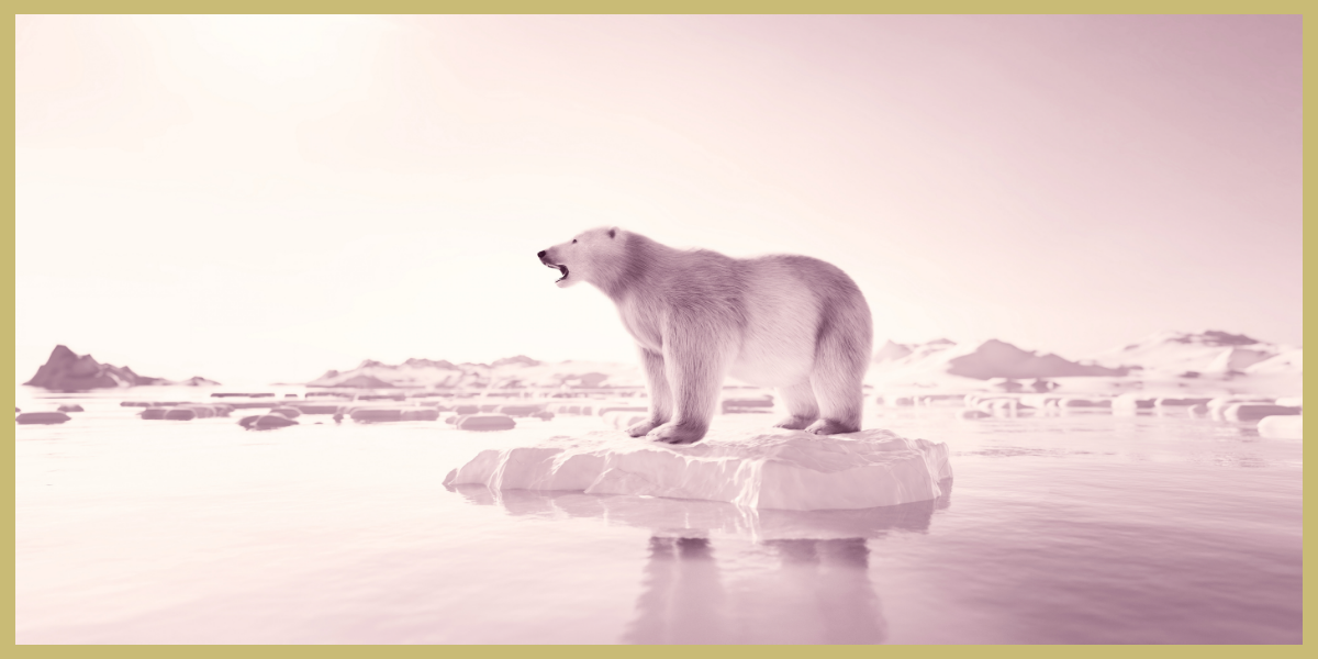 luxe website design divi method superdivine stranded your website how do you feel