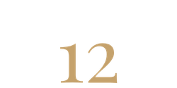 why work with super divine 12 years divi expertise why work with super divine 12 years divi expertise